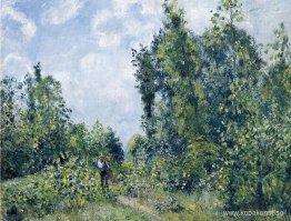 Vandrare nära skogen Vandrare nära skogen