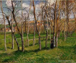 Äng vid Bazincourt Äng vid Bazincourt