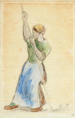 Bonde som planterar ärtpinnar Bonde som planterar ärtpinnar