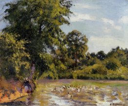 Gammal kvinna med ankor på Montfoucault Gammal kvinna med ankor på Montfoucault