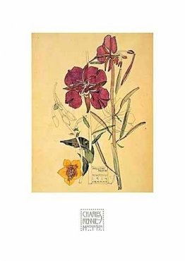 Blommor Blommor