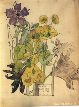 Spurge With Yham 1909 Spurge With Yham 1909