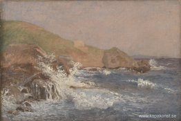 Grovt hav på en stenig kust Grovt hav på en stenig kust