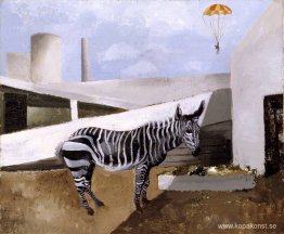Zebra och fallskärm Zebra och fallskärm