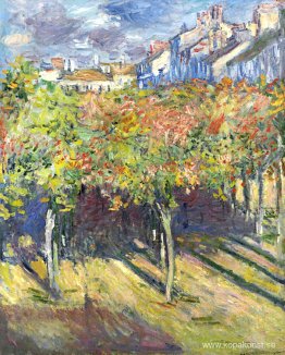 Lindens av Poissy Lindens av Poissy