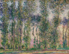 Poplar vid Giverny Poplar vid Giverny