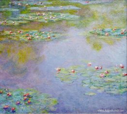 Näckrosor Näckrosor