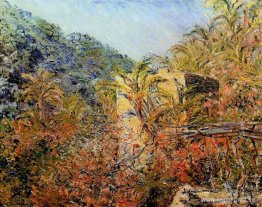 Sassodalen, Sunshine Sassodalen, Sunshine