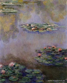 Näckrosor Näckrosor