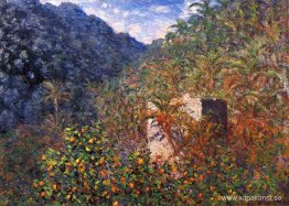 Sassodalen, Blue Effect Sassodalen, Blue Effect