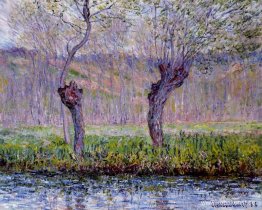 Willows på våren Willows på våren