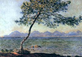 På Cap d'Antibes På Cap d'Antibes