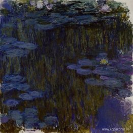 Näckrosor Näckrosor