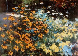 Blomma skönhet Blomma skönhet