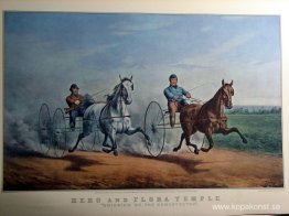 Hjälte och Flora Temple Hjälte och Flora Temple