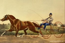 Det firande pacingstoet Pacahontas Det firande pacingstoet Pacahontas