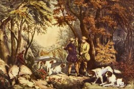 Morgon i skogen Morgon i skogen