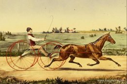 Flora tempel Flora tempel