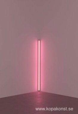 Rosa ut ur hörnet (till Jasper Johns) Rosa ut ur hörnet (till Jasper Johns)