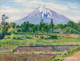 Mount Fuji Mount Fuji