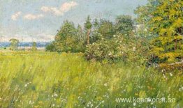 Sommaräng Sommaräng
