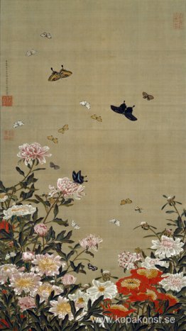 Pioner och fjärilar Pioner och fjärilar