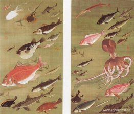 Bläckfisk och fisk Bläckfisk och fisk