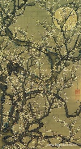 Baika kougetuzu Baika kougetuzu