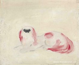 Vit Pekinese Vit Pekinese