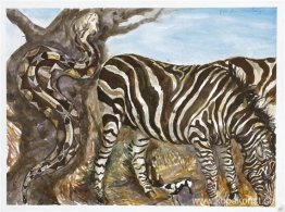 Naturhistoria Naturhistoria