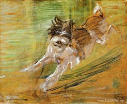 Hoppande hund Schlick Hoppande hund Schlick