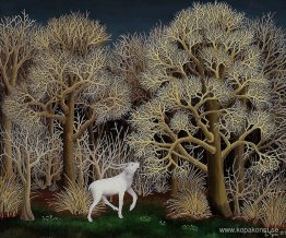 Rådjur i skogen Rådjur i skogen