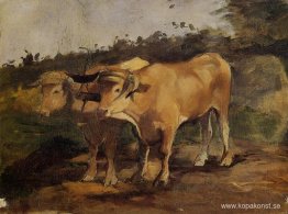 Två tjurar som bär ett ok Två tjurar som bär ett ok