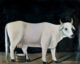 Vit ko på en svart bakgrund Vit ko på en svart bakgrund