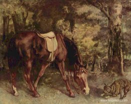 Häst i skogen Häst i skogen