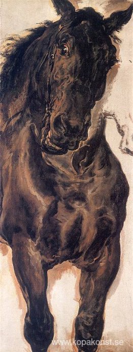 Slaget vid Grunwald (detalj) Slaget vid Grunwald (detalj)