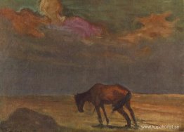 Dystert ungerskt öde Dystert ungerskt öde