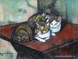 Två katter Två katter