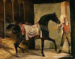 Häst som lämnar ett stall Häst som lämnar ett stall