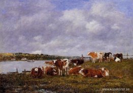 Betesmark, dalen av Touques Betesmark, dalen av Touques