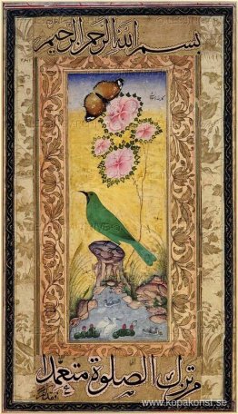 Studie av en guldmantlad Chloropsis Studie av en guldmantlad Chloropsis