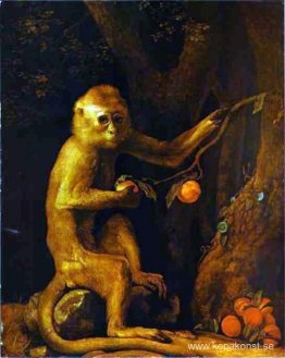 Porträtt av en apa Porträtt av en apa