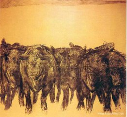 Angus - Studera Angus - Studera