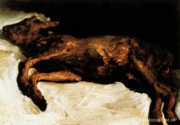 Nyfödd kalv som ligger på halm Nyfödd kalv som ligger på halm