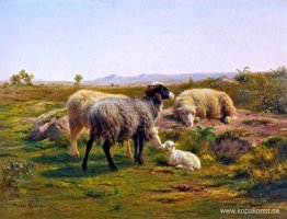 Får och ett lamm Får och ett lamm