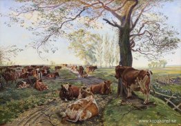 Mjölkställe vid Dyrehavegård Mjölkställe vid Dyrehavegård