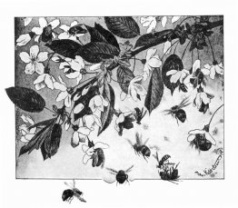 Paa Kirsebaergrenen Paa Kirsebaergrenen