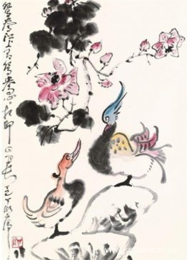 Mandarin ankor Mandarin ankor