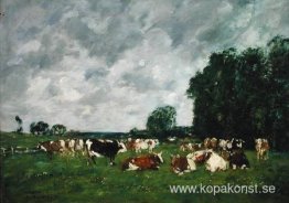 Fält i Fervaques Fält i Fervaques