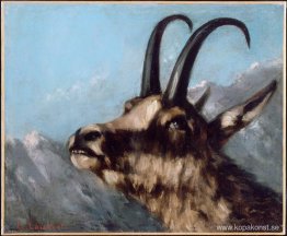 Chef för Gasell Chef för Gasell